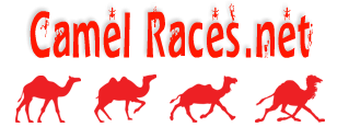 Camel Races  